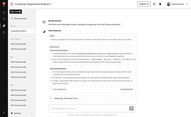 Genie conversational AI interface